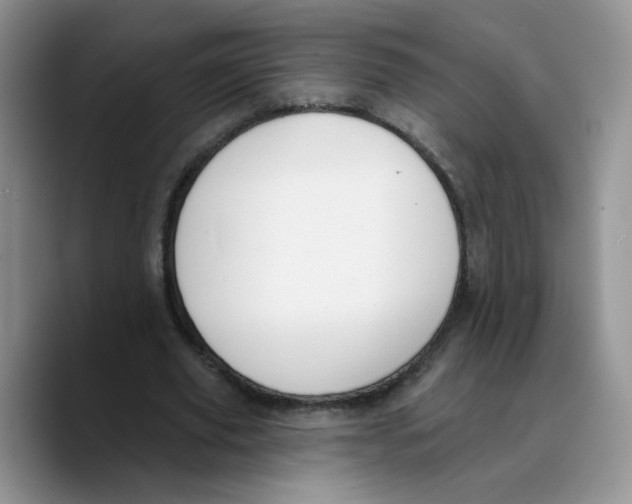X0000089740629200707201902