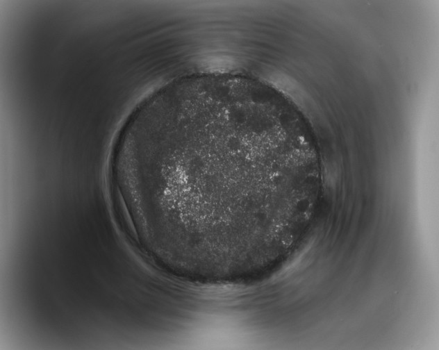 X0000089740630200707201902