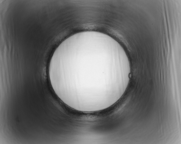 X0000089740633200707201902