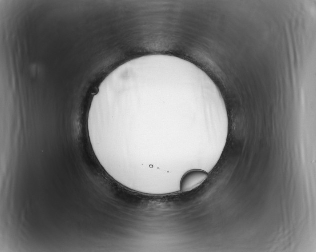 X0000089740635200707201902