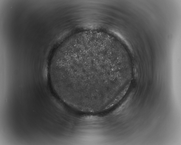 X0000089740637200707201902