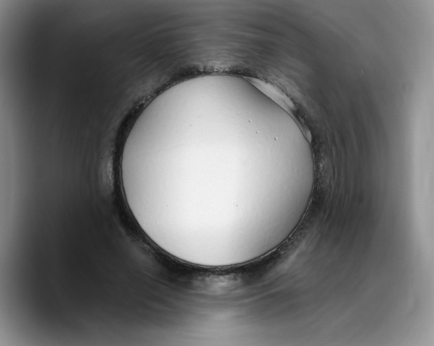 X0000089740638200707201902