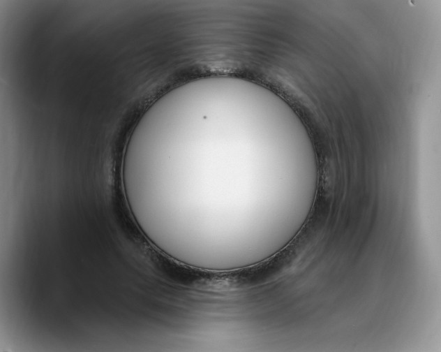 X0000089740639200707201903