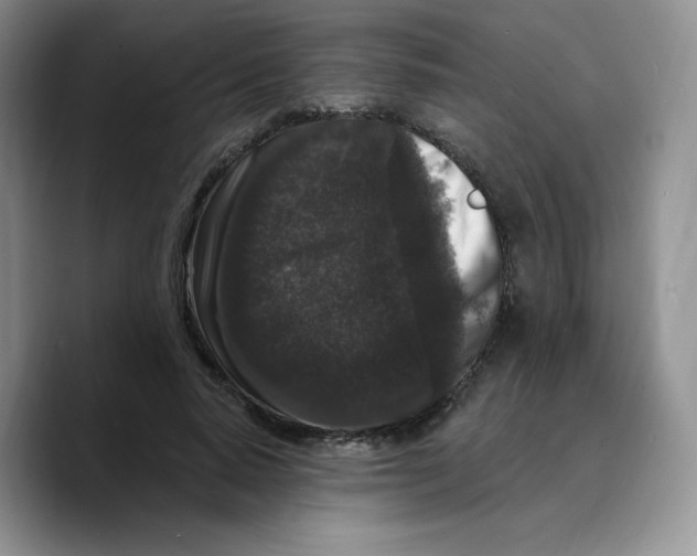 X0000089740640200707201903