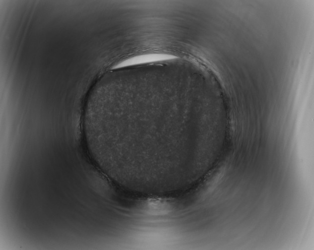 X0000089740641200707201903