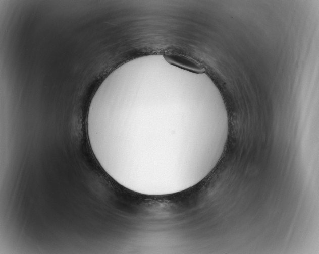 X0000089740642200707201903