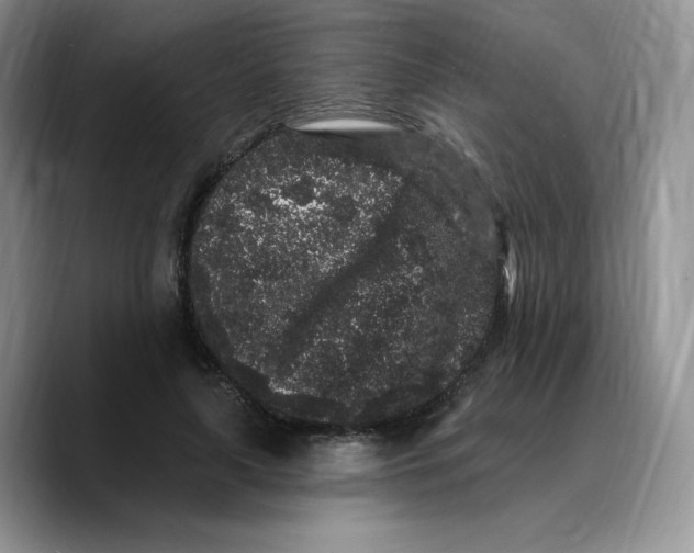 X0000089740643200707201903