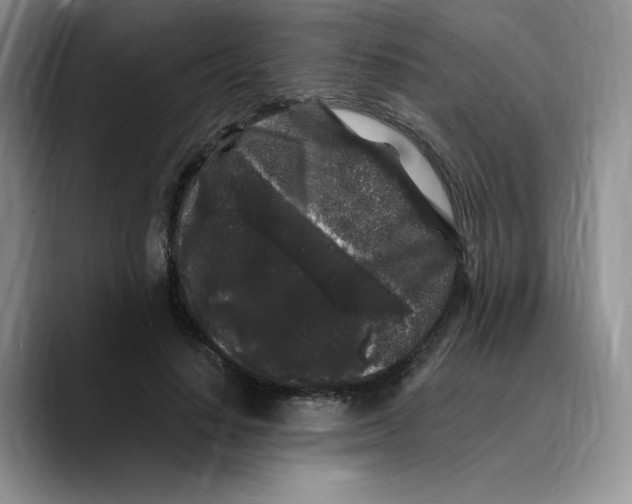 X0000089740644200707201903