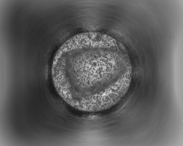 X0000089740647200707201903