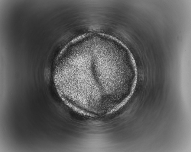 X0000089740648200707201903
