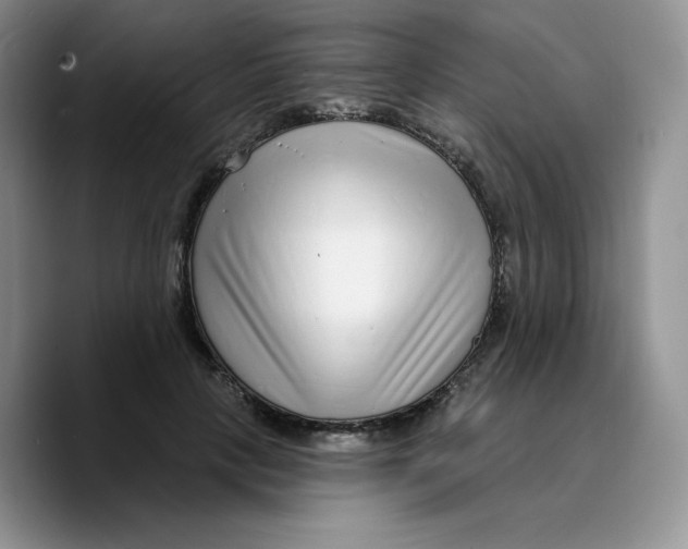 X0000089740649200707201903