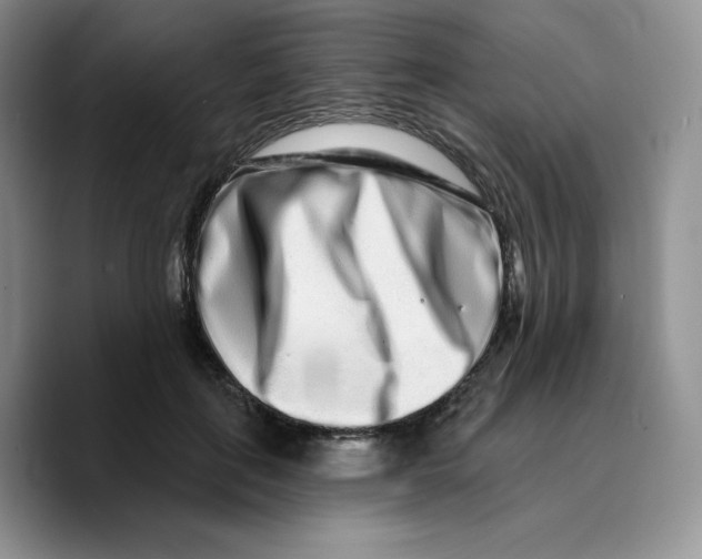 X0000089740651200707201903