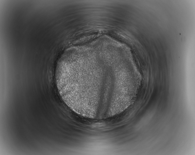 X0000089740653200707201903