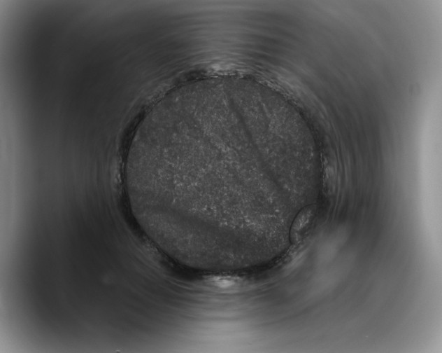 X0000089740654200707201903