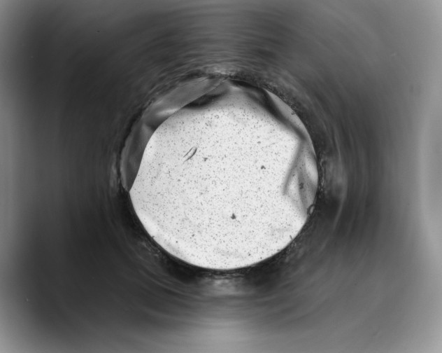 X0000089740655200707201903