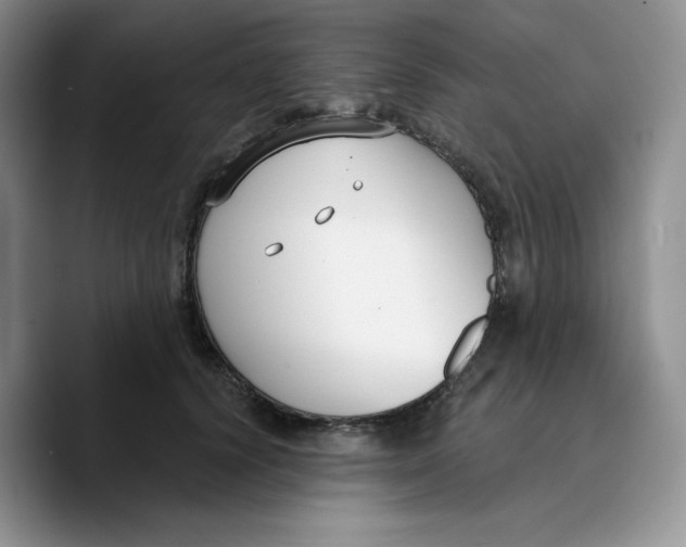 X0000089740656200707201903