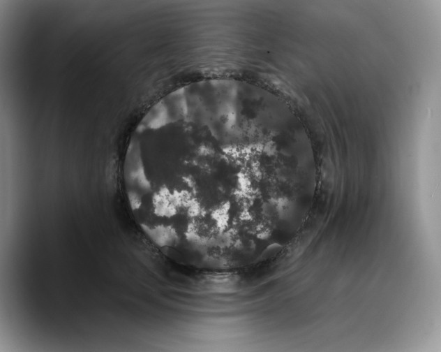 X0000089740659200707201903