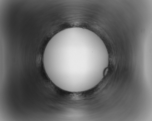 X0000089740660200707201903