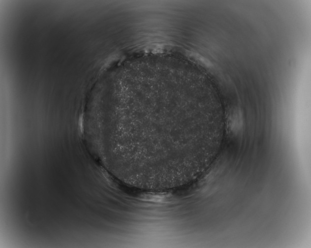 X0000089740661200707201903