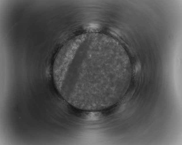 X0000089740663200707201903