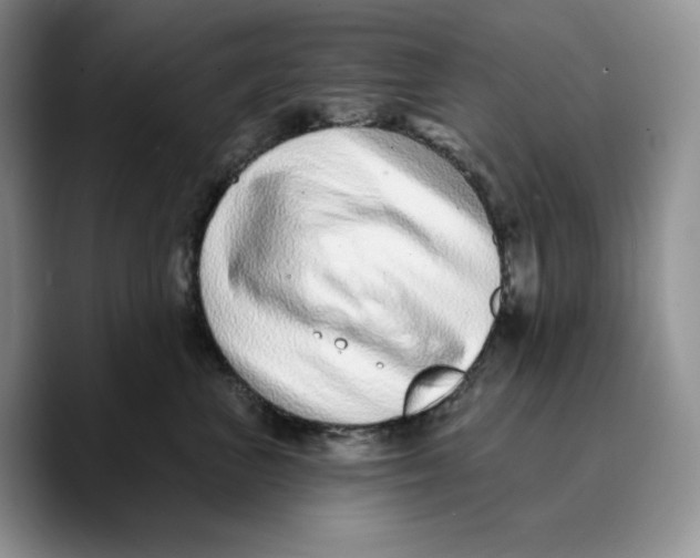 X0000089740667200707201903