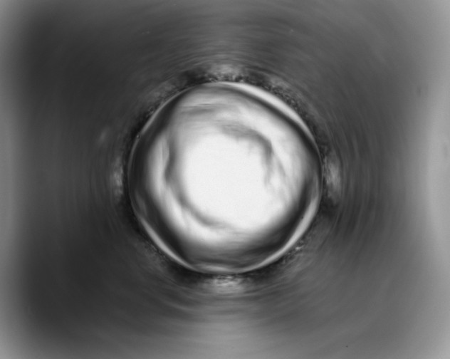 X0000089740668200707201903