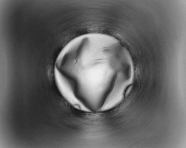 X0000089740671200707201903