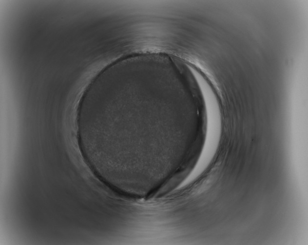 X0000089740673200707201902