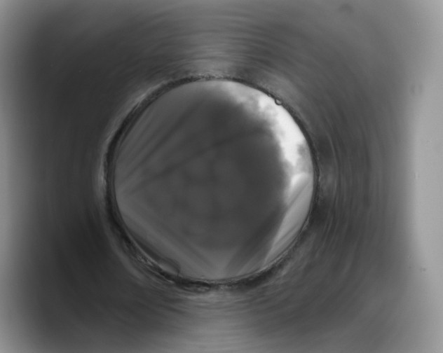 X0000089740674200707201902