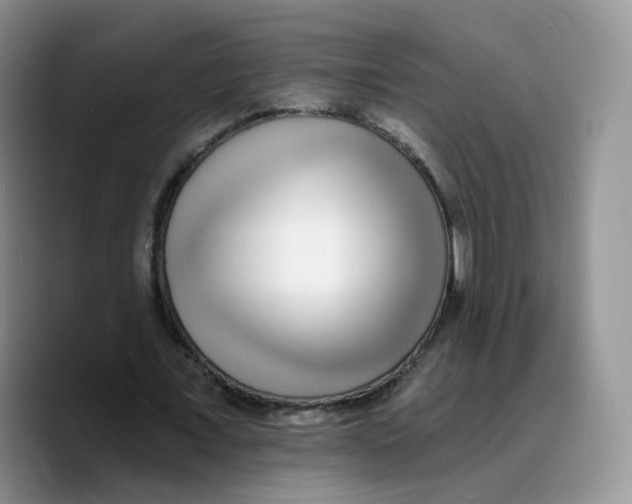 X0000089740675200707201902