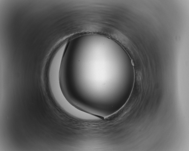 X0000089740676200707201902