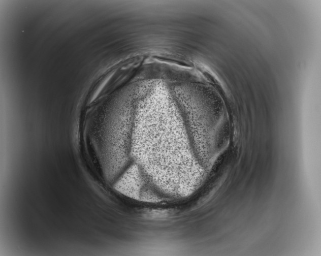 X0000089740677200707201902