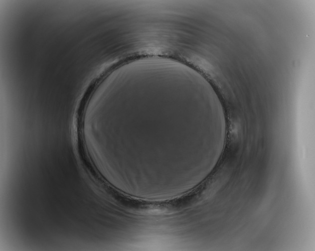 X0000089740678200707201902