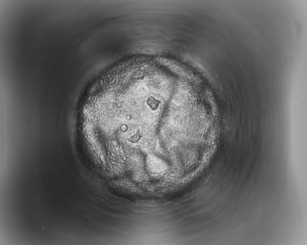 X0000089740679200707201902