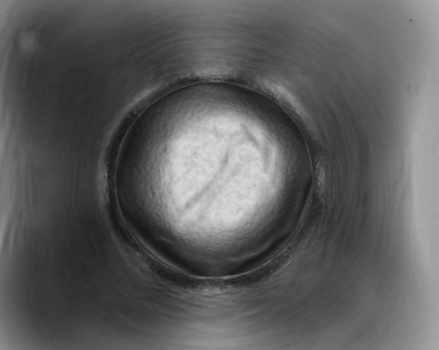 X0000089740684200707201902