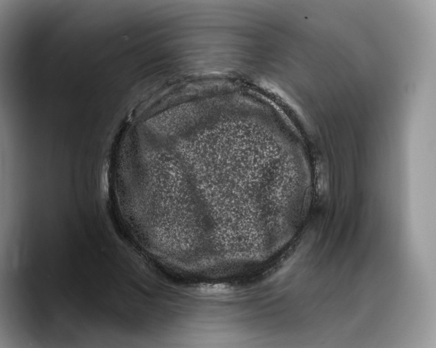X0000089740685200707201902