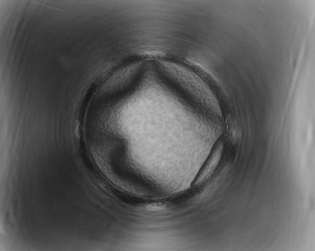 X0000089740692200707201902