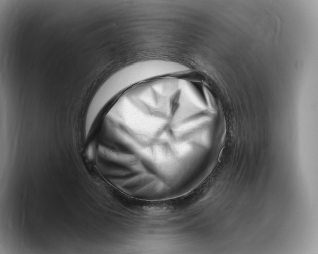 X0000089740693200707201902