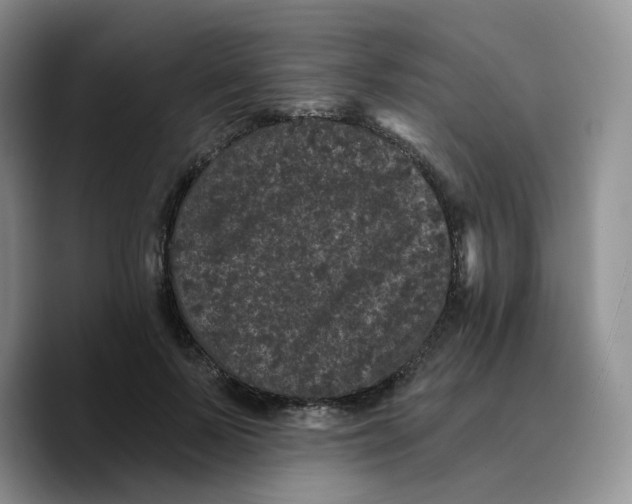 X0000089740695200707201902