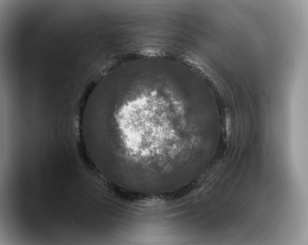 X0000089740696200707201902