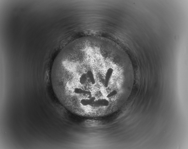 X0000089740699200707201902