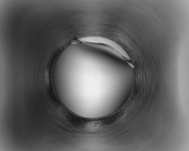 X0000089740700200707201902