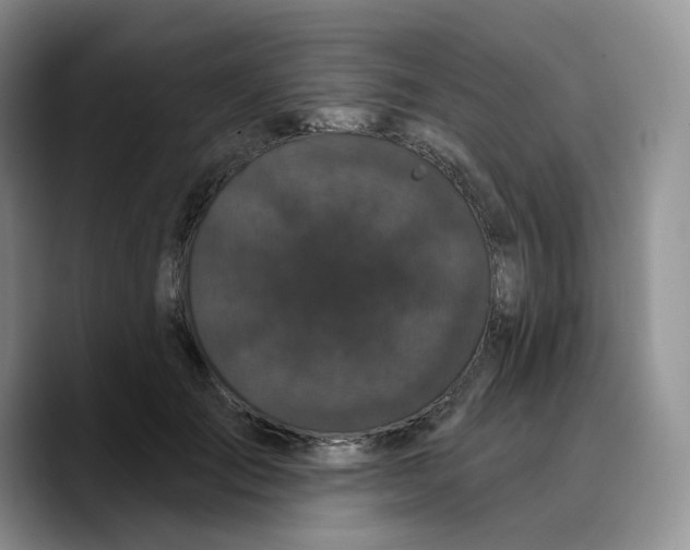 X0000089740701200707201902