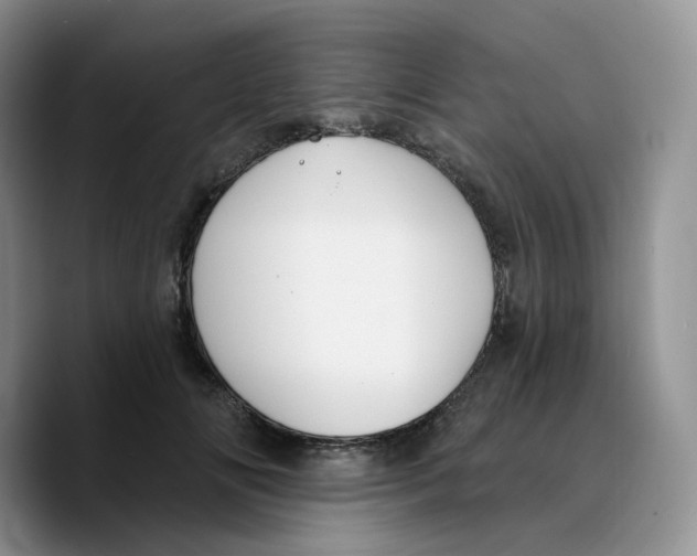 X0000089740702200707201902