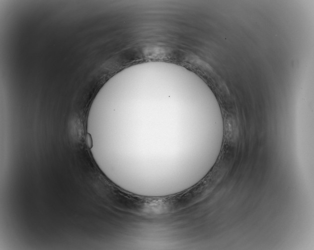 X0000089740705200707201902