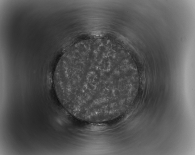 X0000089740707200707201902