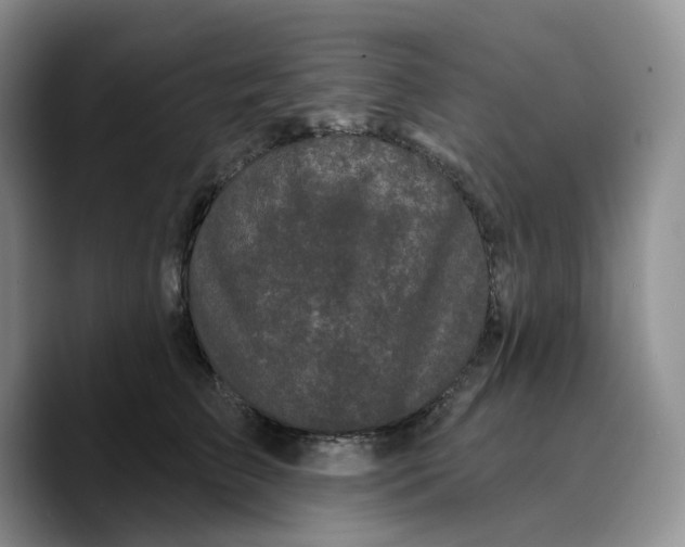 X0000089740709200707201902