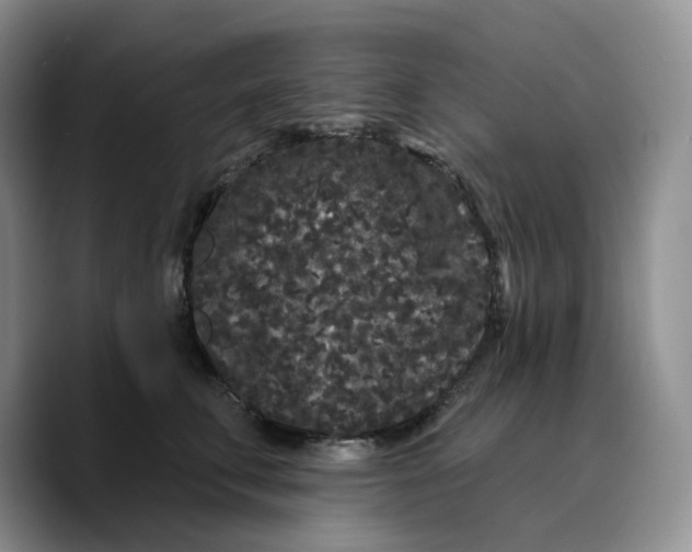 X0000089740711200707201902