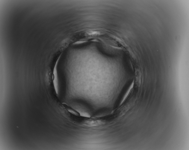 X0000089740712200707201902