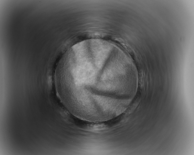 X0000089740716200707201902